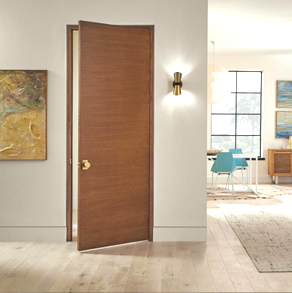 Flush Door